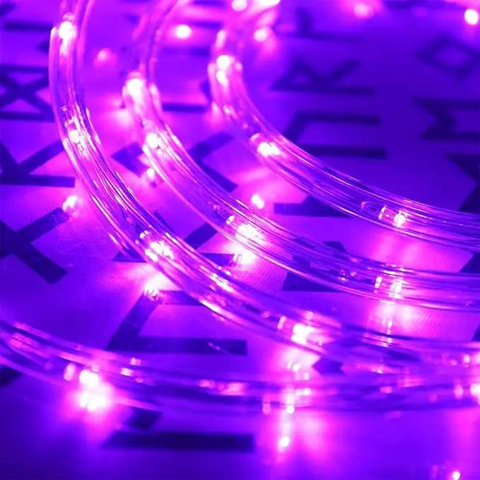 100ft LED Rope Lights Outdoor, 720 LED Connectable and Flexible Tube Lights with 8 Modes, Waterproof LED Rope Lighting for Garden, Patio, Pool, Bedroom, Party, Indoor Outdoor Decoration (Purple) by GreenHaven Gardens