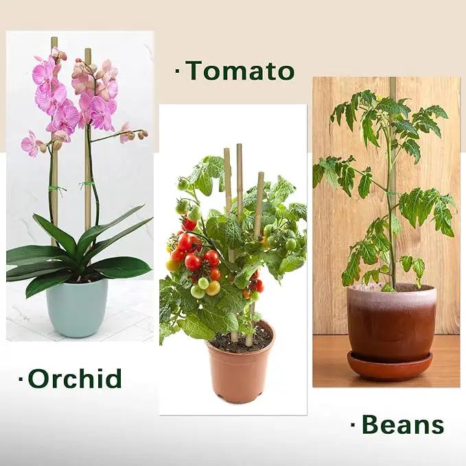 Plant Stakes,18 Inches Natural Garden Bamboo Sticks,BOVITRO 20Pcs Plant Support Stakes for Tomatoes,Beans,Vegetable and Potted Plants by GreenHaven Gardens