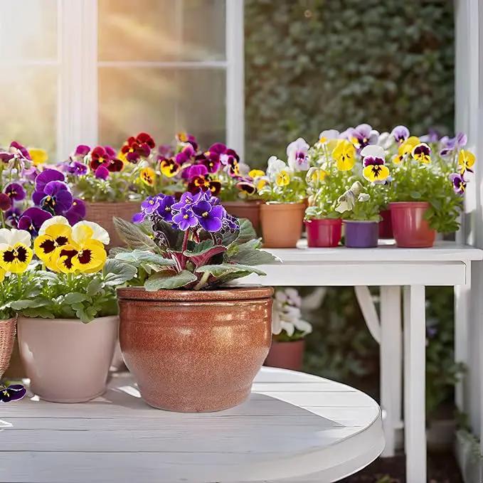African Violet Pots Self Watering Round Ceramic Violet Pot (Copper, 6 inch) by GreenHaven Gardens