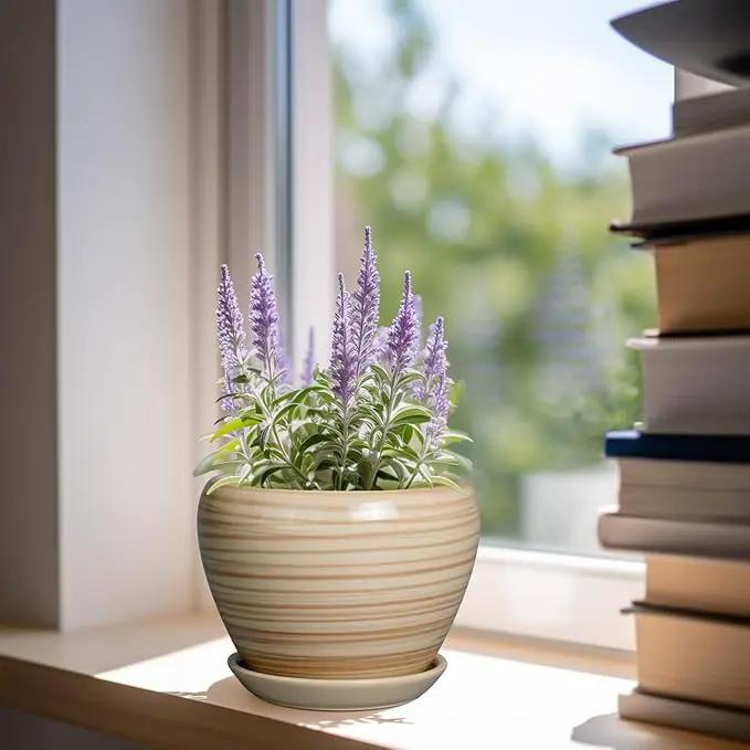 6 Inch Plant Pot Ceramic - Decorative Planter for Indoor Plants Succulent Pot with Drainage Hole and Saucer Round Planter Outdoor Flower Pot for House Patio Yellow by GreenHaven Gardens