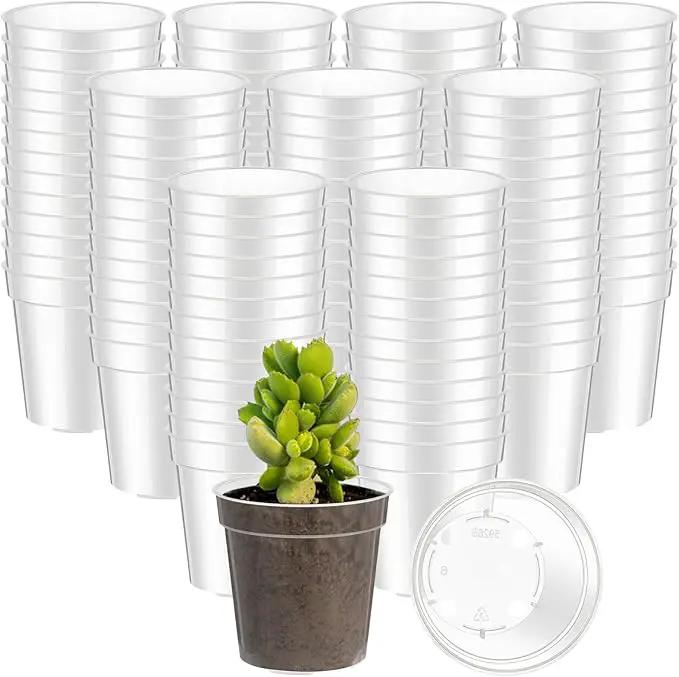 Yaomiao 200 Pcs 2 Inch Clear Mini Plastic Plant Pot Nursery Seedling Pots Seed Starter with Drainage Holes for Indoor Outdoor Garden Succulent Plants Cuttings Transplanting by GreenHaven Gardens