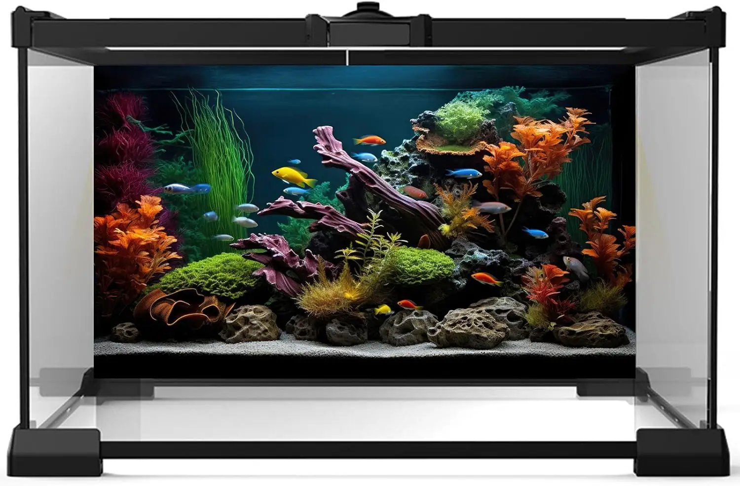 Aquarium Background Lush Aquatic Colorful Plants Terrarium Background Redwood Root Coral Reef Jungle Style Fish Tank Background Amazing Underwater View Aquarium Backdrop Wallpaper Poster Vinyl 36x20in by GreenHaven Gardens