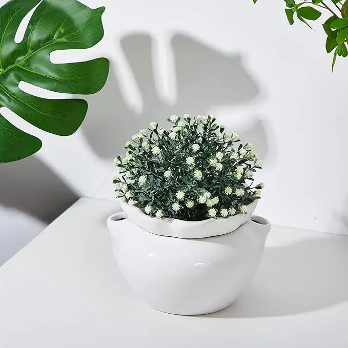 1 Set 7.5 Inches African Violet Pots Self Watering White Ceramic Pot for Indoor Plants, Flowerpot with Highly Absorbent Inner Pot for Busy Plant Lovers, Plant Care by GreenHaven Gardens