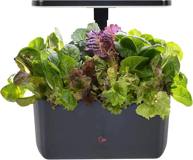 AeroGarden Harvest 2.0, Indoor Garden Hydroponic System with LED Grow Light, Holds up to 6 AeroGarden Pods, Charcoal by GreenHaven Gardens