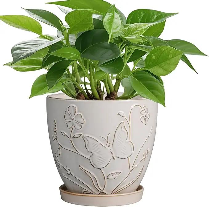 6 Inch Ceramic Plant Pot for Indoor Plants Outdoor Round Planter Flower Pot with Drainage Hole and Saucer for Home Garden Office Decor White by GreenHaven Gardens