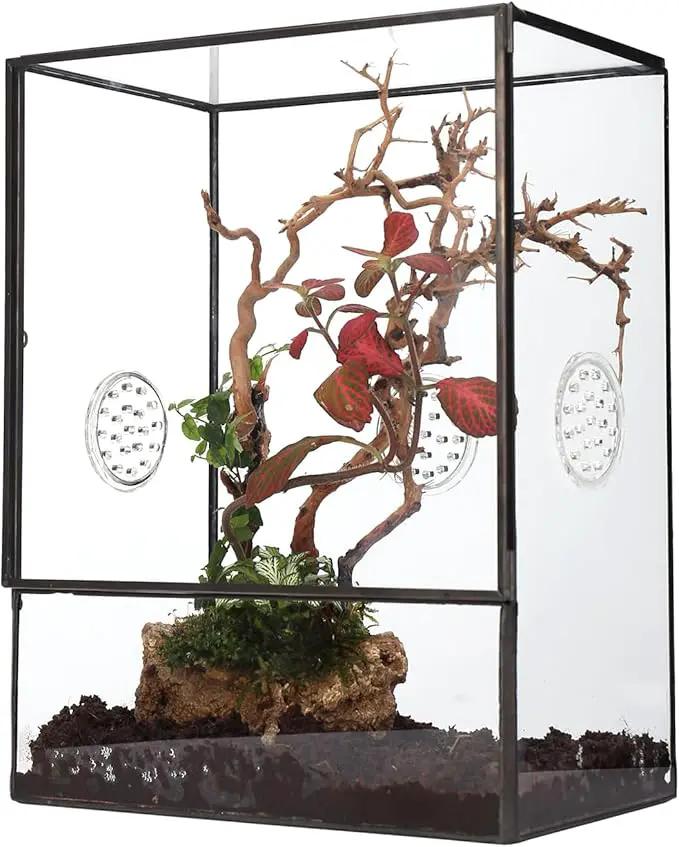 NCYP Glass Terrarium with Front Opening Door and 3 Vents for Insects, Snail, Spider, Glass Enclosure - 8"x4.5"x10" Clear Closed Plant Greenhouse Box (Terrarium Only) by GreenHaven Gardens