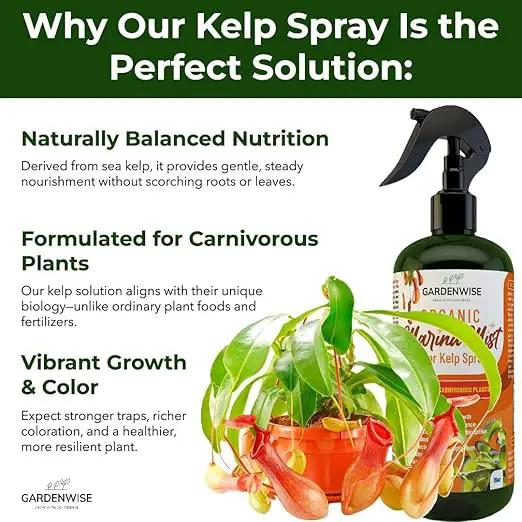 100% Organic Marina Mist Carnivorous Plant Food | Liquid Kelp Foliar Spray for Plants - Kelp Fertilizer for Venus Flytraps, Sundew, Butterworts, Pitcher Plants 16 Oz by GreenHaven Gardens