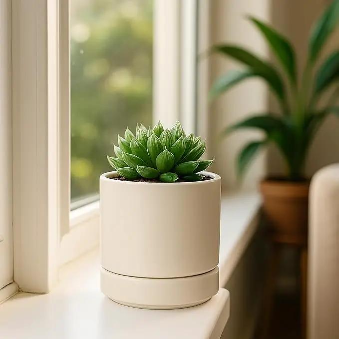 D'vine Dev Set of 2 Plants Pots, 4.7 Inch Ceramic Planter Pot for Plants with Drainage Hole and Saucer, Oatmeal, 94-V-B-8 by GreenHaven Gardens