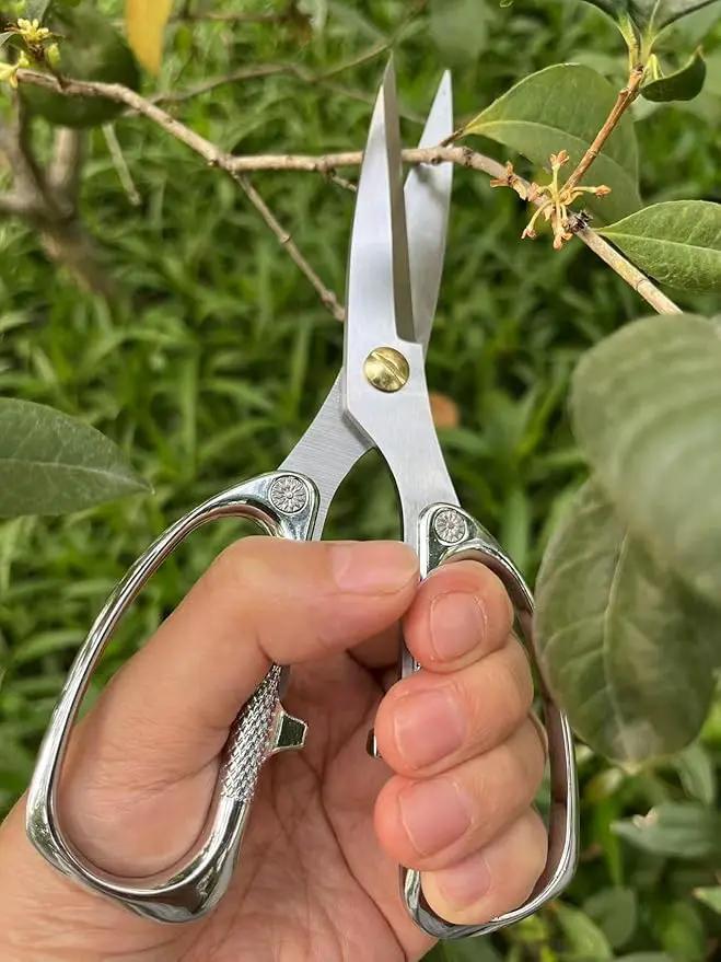 Indoor Plant Shears Bud Trimming Scissors, Japan SK5 Stainless Steel Floral scissors, Flowers Herbs and Stem Cutters, Clippers, Trimmers, Loppers, Bonsai Garden Pruning Scissors by GreenHaven Gardens