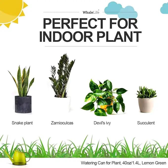 WhaleLife Indoor Watering Can for House Bonsai Plants (1.4L, Green Lemon) by GreenHaven Gardens