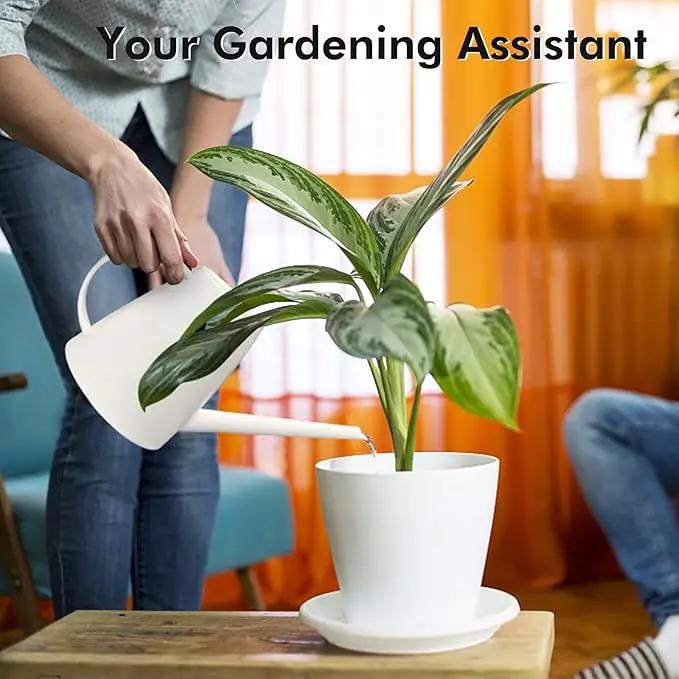 Watering Can for Indoor Outdoor Plants, Modern Small Watering Cans with Removable Nozzle, Long Spout Watering Can for Indoor Bonsai Plants Garden Flowers 1/2 Gallon 1.8L 60OZ (White) by GreenHaven Gardens