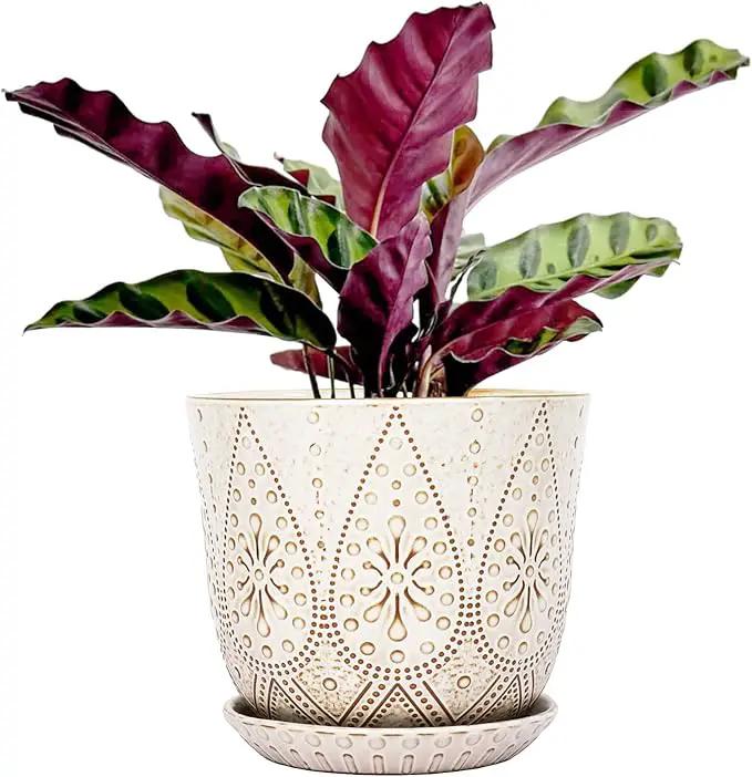 Gepege 8 Inch Plant Pot, Creamy White Ceramic Planter with Drainage Holes and Saucers for Plants Indoor and Outdoor Flower Pot by GreenHaven Gardens