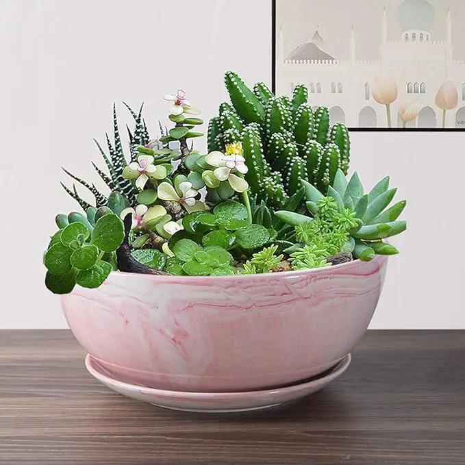 G EPGardening Large Ceramic Succulent Planter Pot with Drainage Hole and Saucer Large Marble Flower Pot for Plants Round Bonsai Planter Pot Indoor Outdoor Pink by GreenHaven Gardens