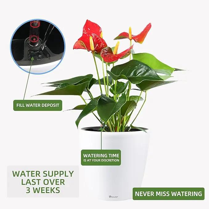 Dexceder 13x12 Self Watering Planter with Wheels Indoor Outdoor, Inner Pot Design, Thickened Large Floor Standing Flower Plant Pot with Water Level Indicator (White Matte) by GreenHaven Gardens