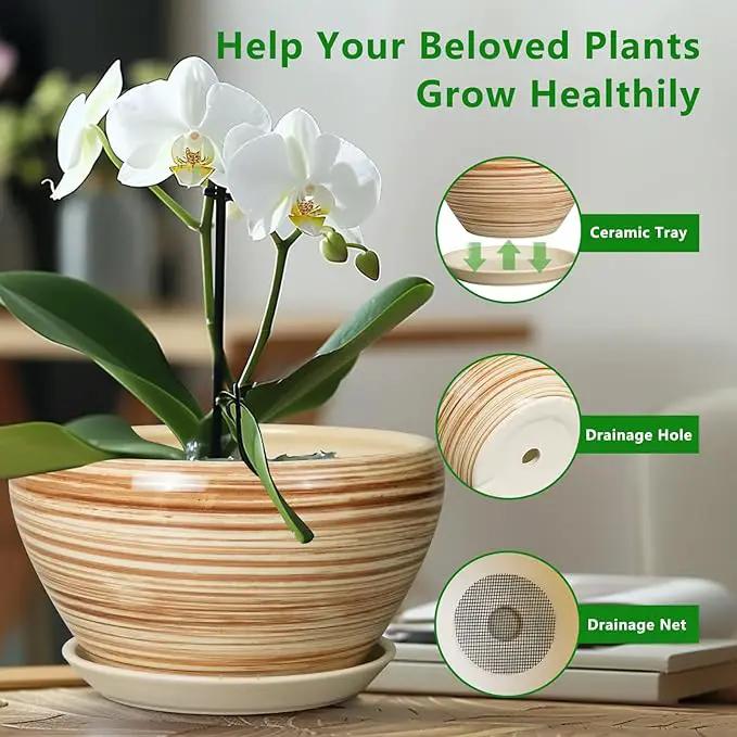 Ceramic Pot for Plants 11 Inch - Planter for Outdoor Plants Indoor Plant Pot with Drainage Hole and Saucer Large Planter Round Flower Pot for House Patio Garden Yellow by GreenHaven Gardens