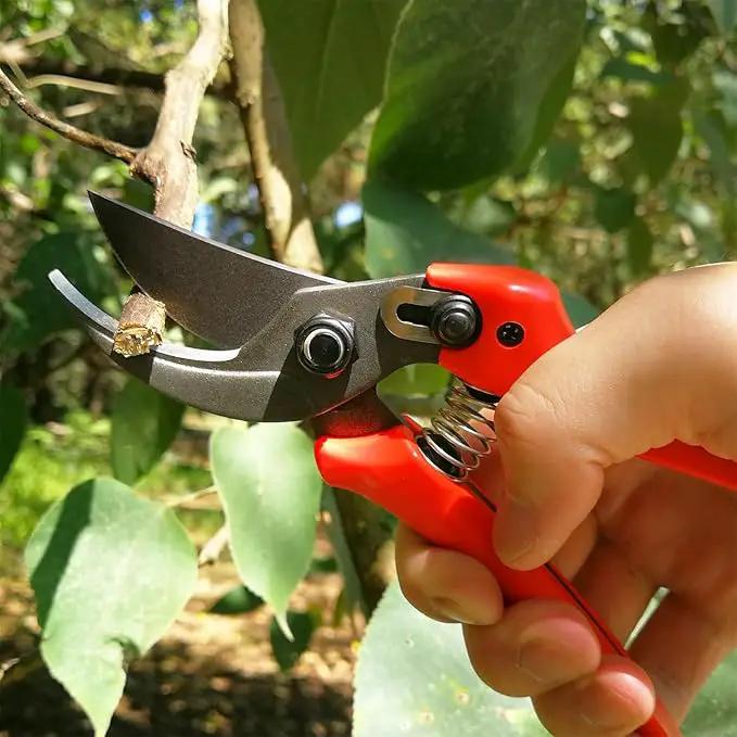 BUGUI 8" Gardening Scissors, Bypass Pruning Shears, 1" Cutting Capacity Sharp Garden Clippers with Low-friction Painted Stainless Steel Blade by GreenHaven Gardens