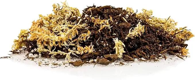 Premium Orchid Mix by GARDENERA | Fern + New Zealand Pine Bark + Sphagnum Moss + Perlite | Best for Growing and Repotting Orchids - 1 Quart Bag by GreenHaven Gardens