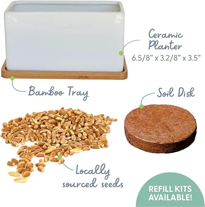 The Cat Ladies Organic Cat Grass Growing kit with Organic Seed Mix, Soil and Ceramic Planter with Bamboo Tray. Natural Hairball Control and Remedy for Cats by GreenHaven Gardens