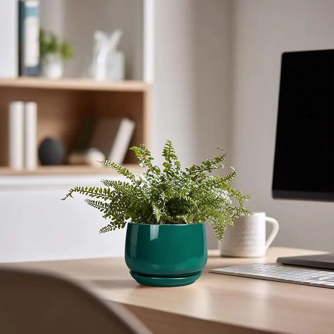 G EPGardening 4 inch Plant Pots - Small Ceramic Planter with Drainage Hole & Tray, Succulent Pots Indoor Outdoor, Round Modern Planter, Decorative Flower Pot, Desk Decor, Gifts for Plant Lover, Green by GreenHaven Gardens