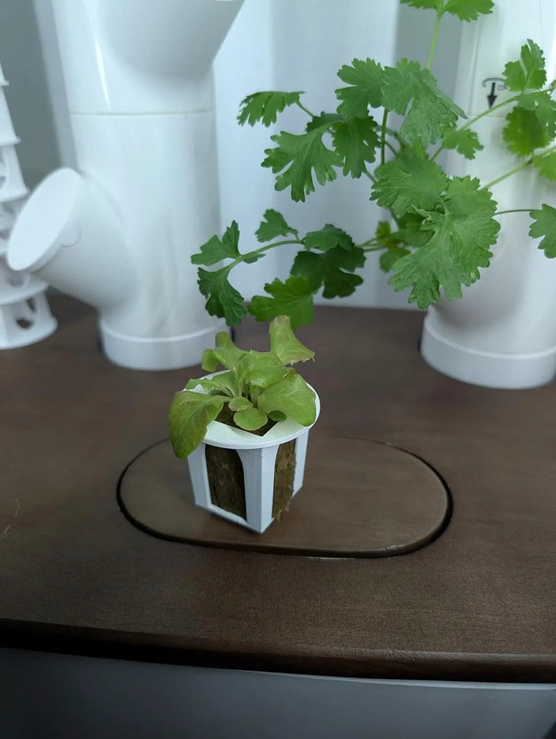 Grow Cubes for Hydroponic System/Compatible with Gardyn (5 Grow Cubes) by GreenHaven Gardens