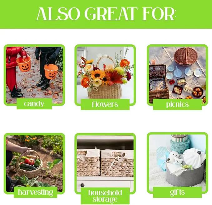 6 Pack – 4 Quart/Half Peck White Plastic Garden Basket for Gathering Vegetables and Fruits – Harvest Apples, Berries, Peaches or Tomatoes by GreenHaven Gardens