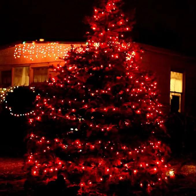 TW SHINE Red Christmas Lights, 2 Pack Total 40 FT 200 Count Incandescent Christmas Mini Tree String Lights, Waterproof Christmas Decorations for Outdoor Indoor Xmas Patio Home Party Garden Yard Decor by GreenHaven Gardens
