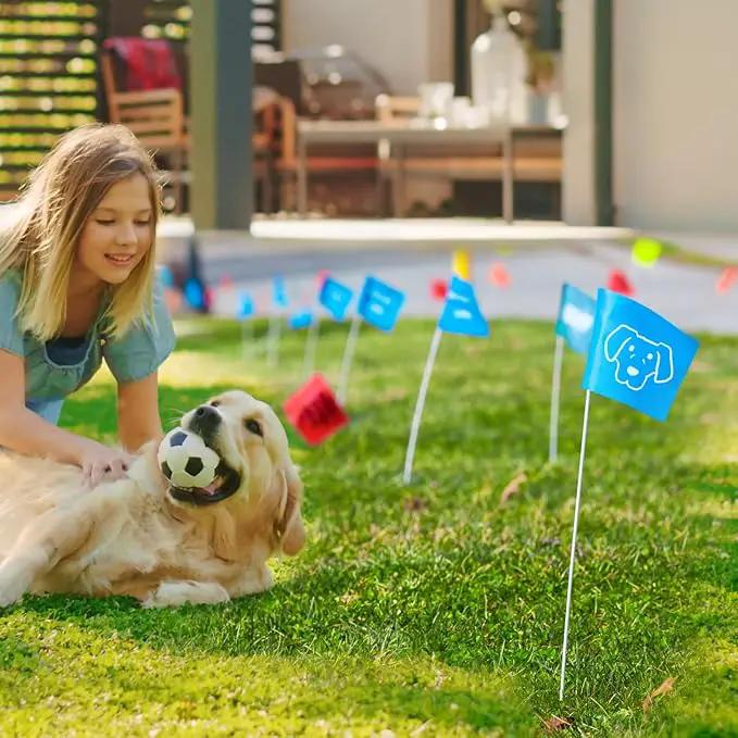 Zozen 50Pack Blue Marking Flags, Writable/15x4x5 Inch, Yard Flags for Lawn & Irrigation & Landscape & Sprinkler & Survey & Dog Training. by GreenHaven Gardens
