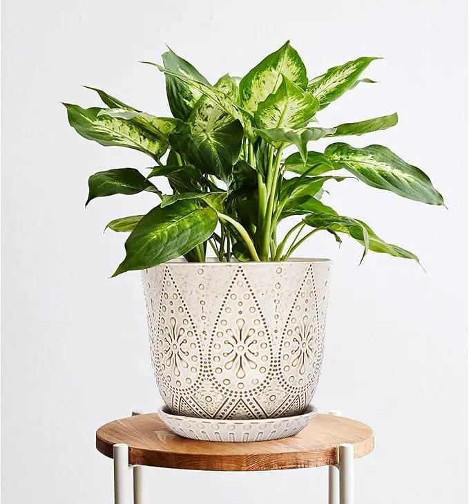Gepege 8 Inch Plant Pot, Creamy White Ceramic Planter with Drainage Holes and Saucers for Plants Indoor and Outdoor Flower Pot by GreenHaven Gardens