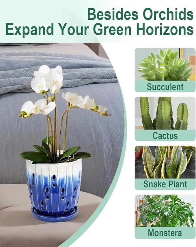 vensovo 6 Inch Ceramic Orchid Pot - Orchid Pot with Holes for Repotting, Ceramic Planter with Saucer for Indoor/Outdoor Plants, Blue by GreenHaven Gardens