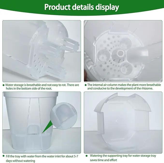 Cdd's Path 6-Pack Self Watering Pots Set with Holes for Indoor/Outdoor Plants,2 Each of 5, 6 and 7 Inch Planter Pot with Watering Hole/Reservior and Air Pipes,Clear by GreenHaven Gardens
