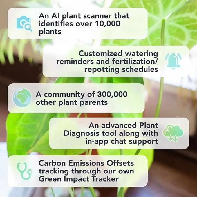 Flora Pod AI-Powered Smart Plant Monitor | for Indoor or Outdoor Plants | Personalized Alerts for Moisture, Temperature, Humidity, and Light