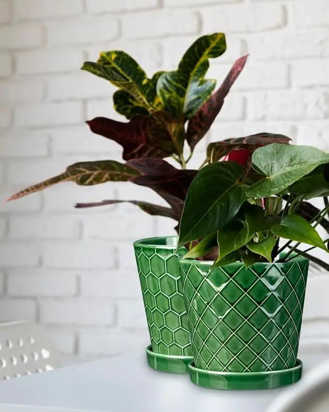 EFISPSS 6 Inch Plant Pot,Ceramic Pots for Plants with Drainage,Flower Pots Indoor Pots for Plants, Modern Flower Pots for Home and Office,Set of 2 - Patina by GreenHaven Gardens