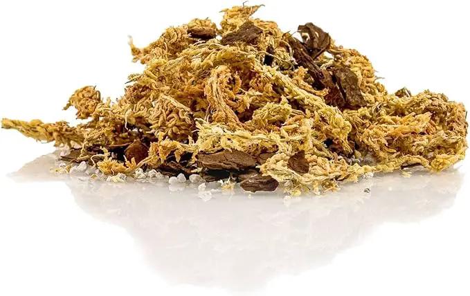 Premium Sphagnum Moss, Perlite and New Zealand Pine Bark Blend for Carnivorous Plants - Perfect for Venus Fly Traps, Pitcher Plants, Sarracenia, Butterworts, and Sundews by GARDENERA - 5 Quart Bag by GreenHaven Gardens