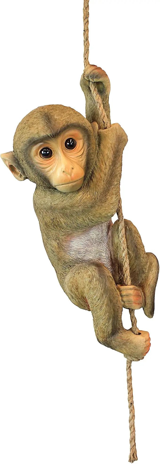 Design Toscano Chico the Chimpanzee Baby Monkey Hanging Indoor/Outdoor Animal Statue, 16 Inch Long, Cast Stone Resin, Brown Painted Finish by GreenHaven Gardens