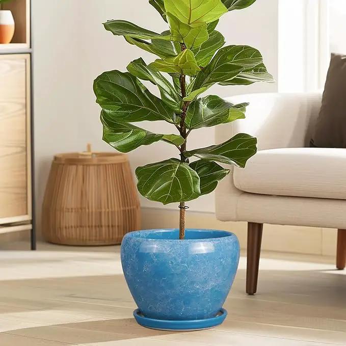 Ceramic Planter - 8 Inch Plant Pot with Drainage Hole and Saucer, Glaze Round Flower Pot for Home Garden Patio Office, Blue by GreenHaven Gardens