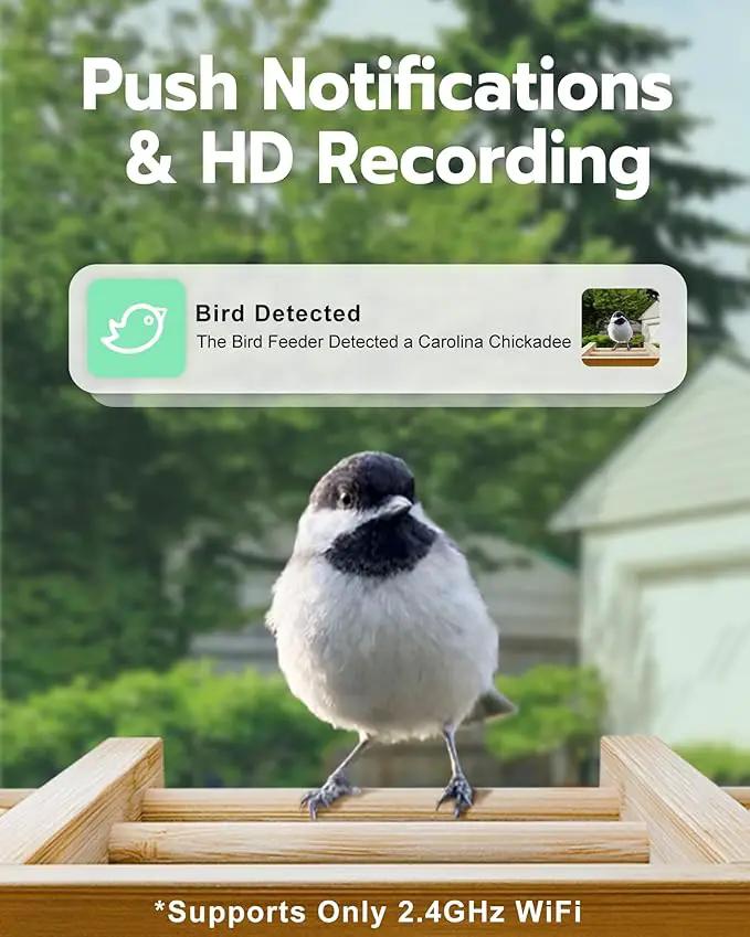 Bird Feeder with Camera, Smart Wild Bird Feeder for Outdoors with AI Identify, Solar Bird Feeder Watching Camera Auto Capture Birds & Real-time Notifications, Gifts for Birdlover (Arch) by GreenHaven Gardens