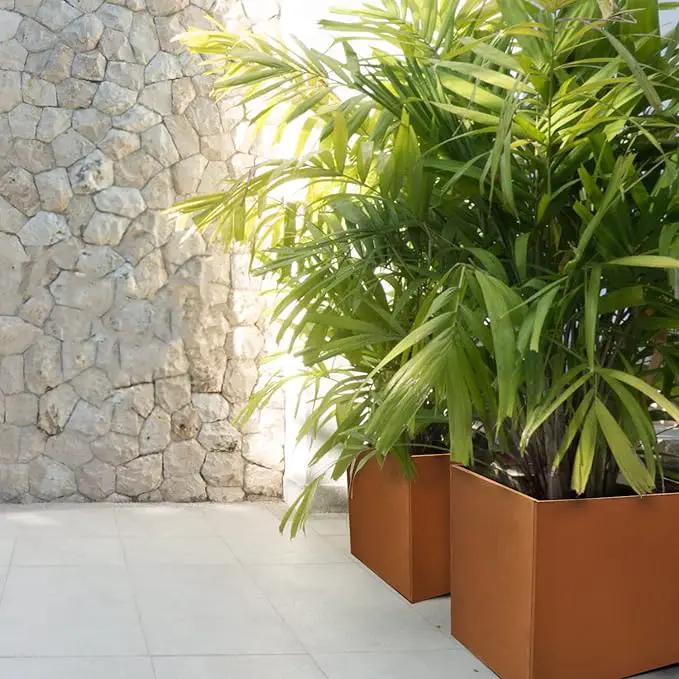 Corten Steel Planter Box Outdoor Planter Metal Square Large Steel Flower Pot Rustic Cube Patina Tall Plant 20 Inch Durable Antique for Commercial Residential Patio Deck Yard Garden by GreenHaven Gardens