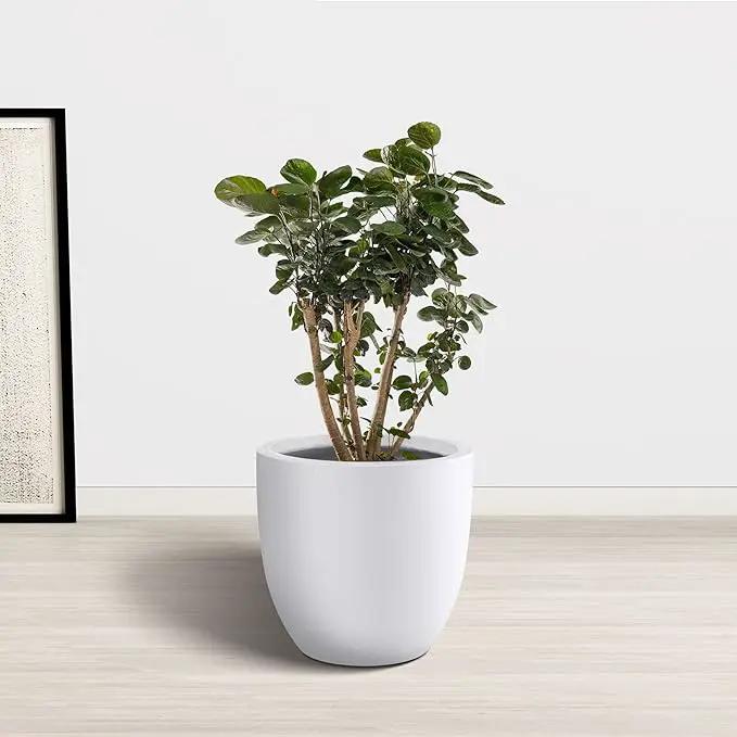 Kante 14 Inch Dia Round Concrete Planter, Indoor Outdoor Large Plant Pot with Drainage Hole and Rubber Plug for Home Patio Garden, Pure White by GreenHaven Gardens