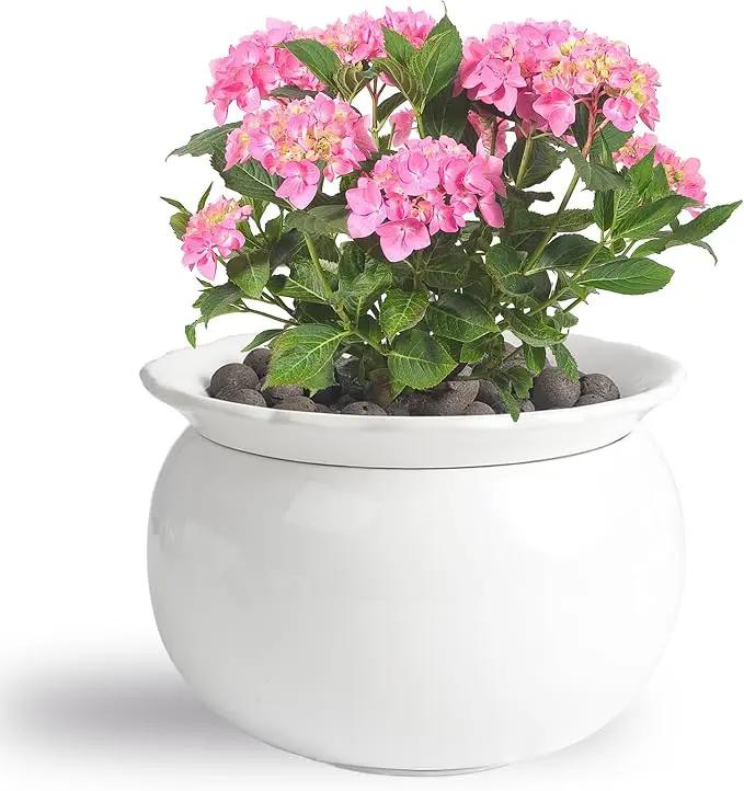 African Violet Pots, 6 inch Ceramic Easy Self Watering Plant Pot for Busy Plant Lovers, Automatically Absorb Appropriate Amount of Water, Flower Pot Indoor-Plants Not Included by GreenHaven Gardens