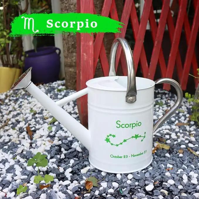 Metal Watering Can for Outdoor and Indoor Plants, Watering Can Decor, 1 Gallon (Scorpio) by GreenHaven Gardens