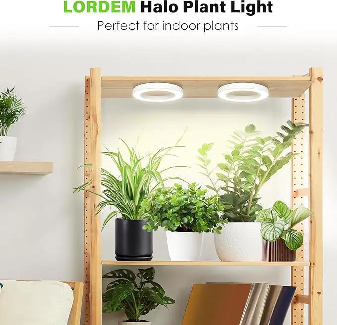 LORDEM 6.3” Ceiling Grow Light for Indoor Plants, 144 LEDs Full Spectrum Halo Grow Lamp, Under Cabinet Plant Lamp with 4/8/12H Auto Timer, 4 Dimmable Brightness Levels, Ideal for Pot Plants, Dual Head by GreenHaven Gardens