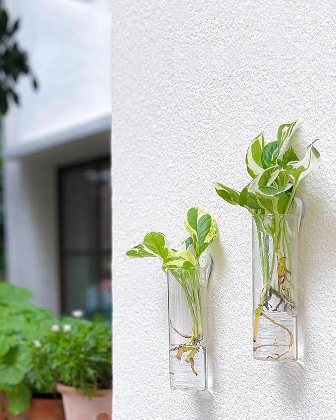 Ivolador Wall Plant Propagation Station Hanging Glass Planter Vase Terrarium Container Cylinder Shape Perfect for Propagating Hydroponic Plants Home Office Garden Decor Wedding-4PCS by GreenHaven Gardens