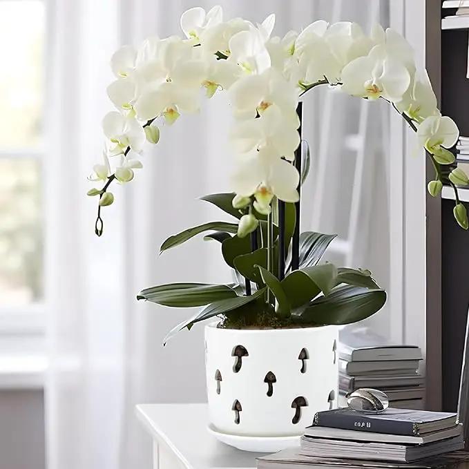 KERUITA Orchid Pots with Holes,5 inch + 6 inch Ceramic Planters Set of 2 with 2 Tray,White Flower Pot with Dancing Mushroom Shaped Vent, Enhanced Drainage and Ventilation by GreenHaven Gardens