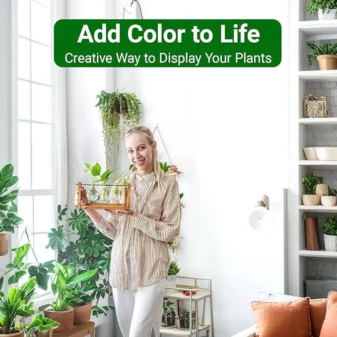 Ivolador Plant Propagation Station,Bulb Plant Terrarium with Wooden Stand,Unique Gardening Gifts for Women Plant Lovers,Hydroponic Indoor Planter Home Office Garden Wedding Decor-3 Bulb Glass Vases by GreenHaven Gardens