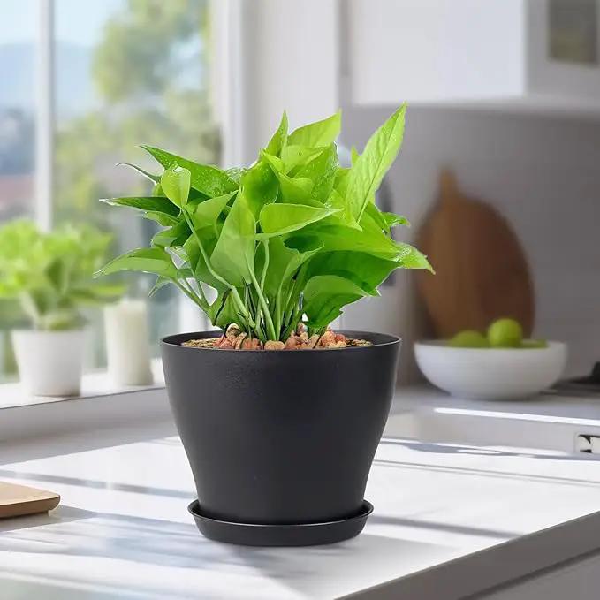 6 inch Plastic Nursery Pots, Seedling Pots, 16 Pack Plant Pots for Small Indoor Outdoor Plants, Flower Pots with Drainage Holes and Saucers, Decorative Planters for House Plants, Black by GreenHaven Gardens