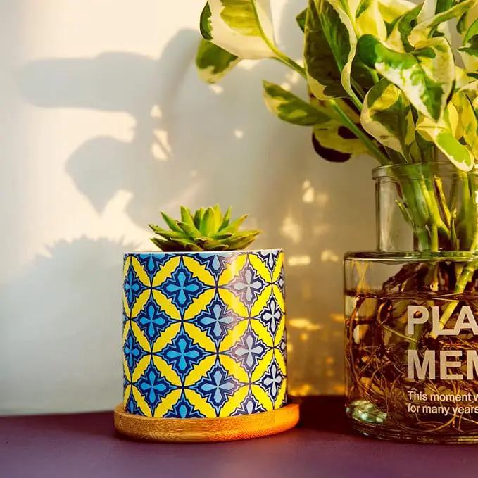 6 Pack Succulent Pots with Drainage Hole, 3 inch Ceramic Succulent Planter with Bamboo Tray, Bright Color Succulent Plant Pots for Cacti Succulent Soil Potting Mix Indoor/Outdoor by GreenHaven Gardens
