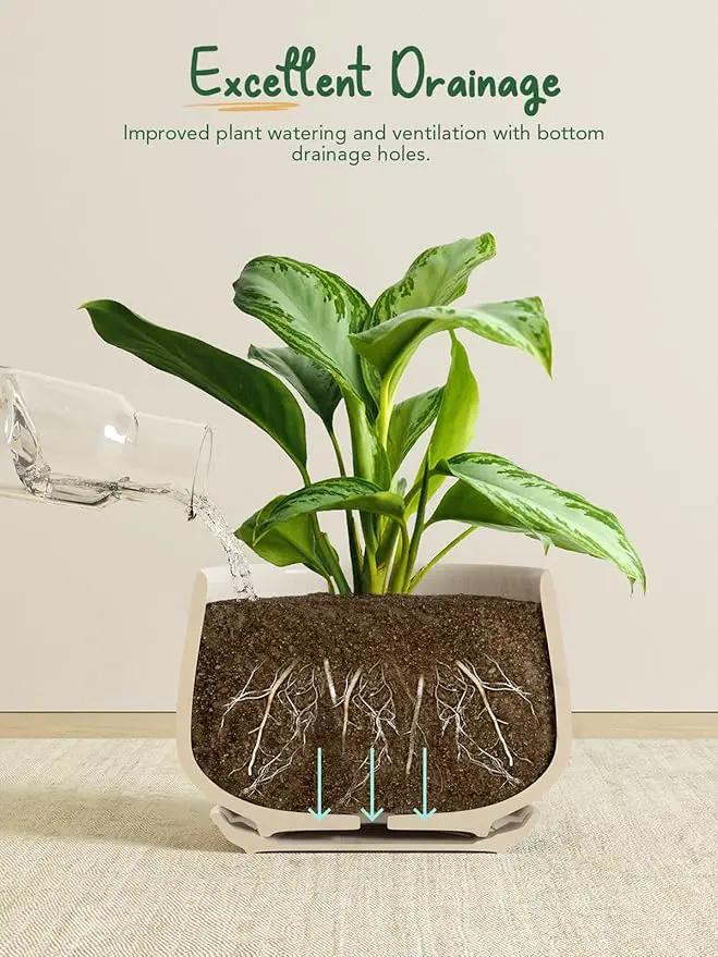 LE TAUCI Plant Pots, 4.1+5.1+6.5 inch, Set of 3, Ceramic Planters with Drainage Hole and Saucer, Indoor Flower Pot with Hole Mesh Pad, Gifts for Mom, Reactive Glaze Beige by GreenHaven Gardens