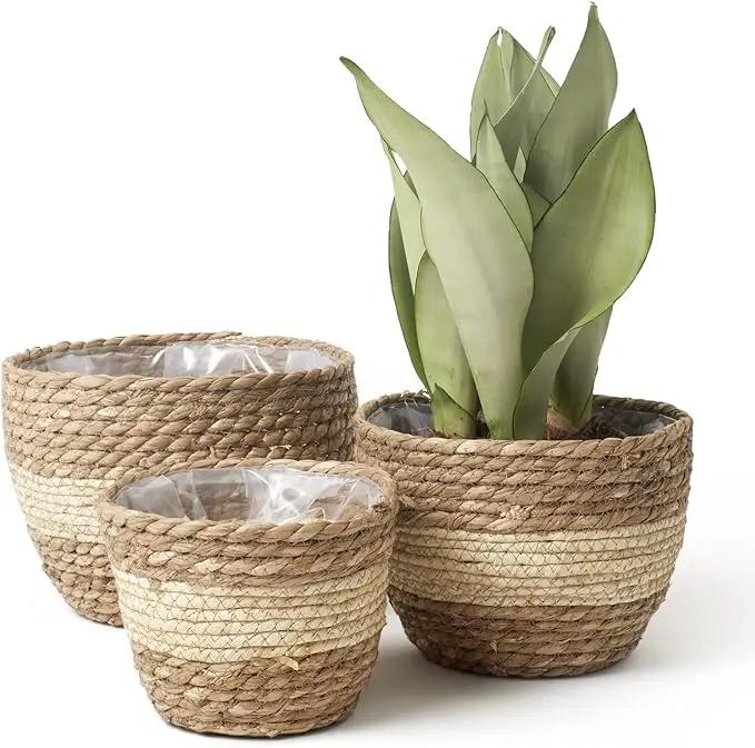 LA JOLIE MUSE Seagrass Planter Basket Indoor Outdoor, Flower Pots Cover, Plant Containers, Beige, 10 inch by GreenHaven Gardens