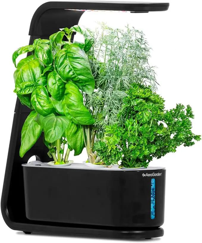 AeroGarden Sprout - Indoor Garden with LED Grow Light, Black by GreenHaven Gardens