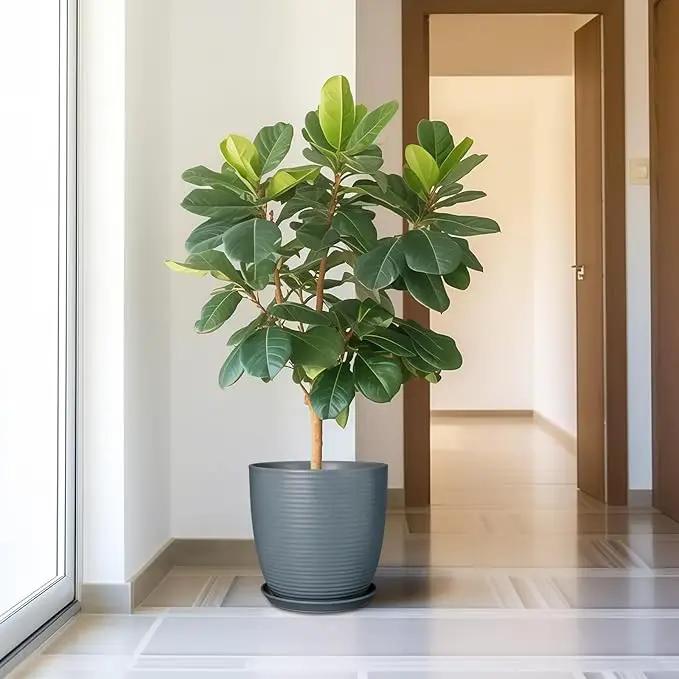 12 Inch Pots for Plants Ceramic Planter Pot Large Flower Pot with Drainage Hole and Saucer for Home Patio Garden Office Indoor Outdoor Gray by GreenHaven Gardens